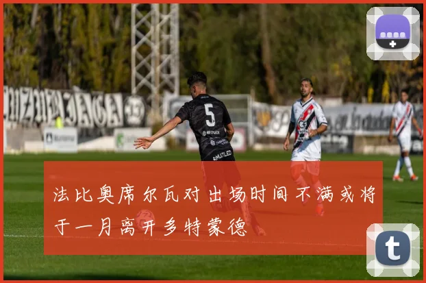 法比奥席尔瓦对出场时间不满或将于一月离开多特蒙德