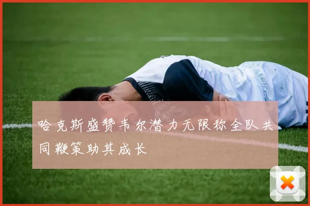 哈克斯盛赞韦尔潜力无限称全队共同鞭策助其成长
