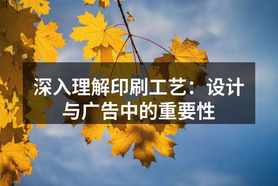 精美印刷品展示
